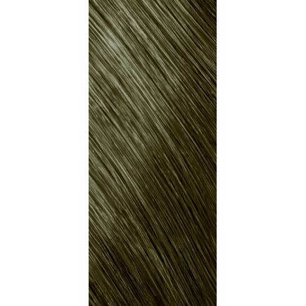 Goldwell Topchic Permanent Hair Colour 8SB - Silver Blonde (60ml)